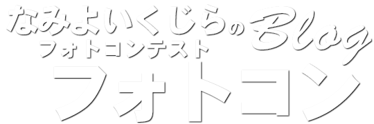 大阪のダイビングスクール『なみよいくじら』-フォトコン